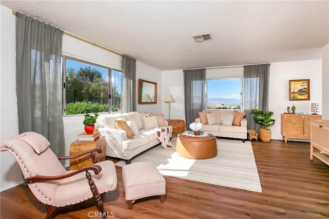 46404 Kings Canyon Rd, Lancaster, CA 93536 - living area with wood finished floors and a textured ceiling