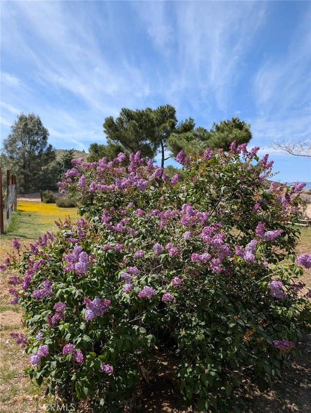 46404 Kings Canyon Rd, Lancaster, CA 93536 - view of yard