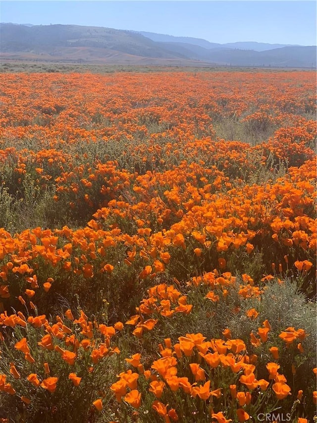 46404 Kings Canyon Rd, Lancaster, CA 93536 - view of mountain backdrop
