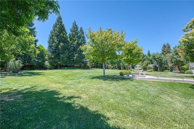 2457 Remington Ct, Merced, CA 95340 - view of grassy yard