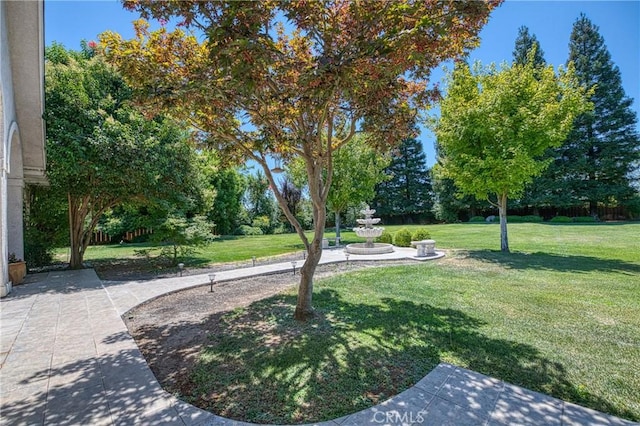 2457 Remington Ct, Merced, CA 95340 - view of grassy yard with a patio area and view of scattered trees