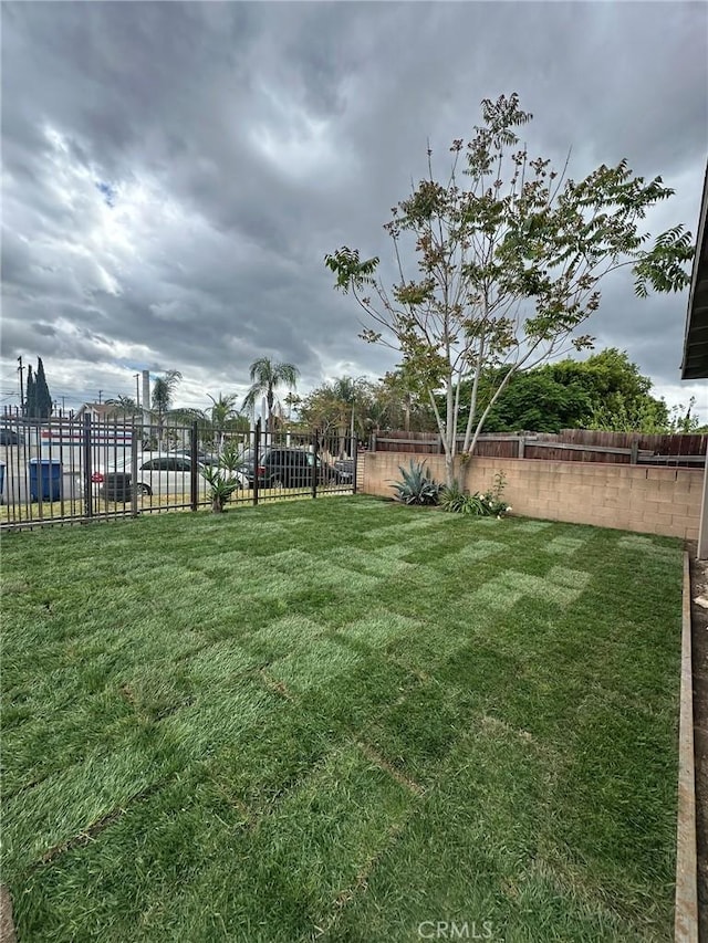 13723 Pinney St, Pacoima, CA 91331 - view of yard
