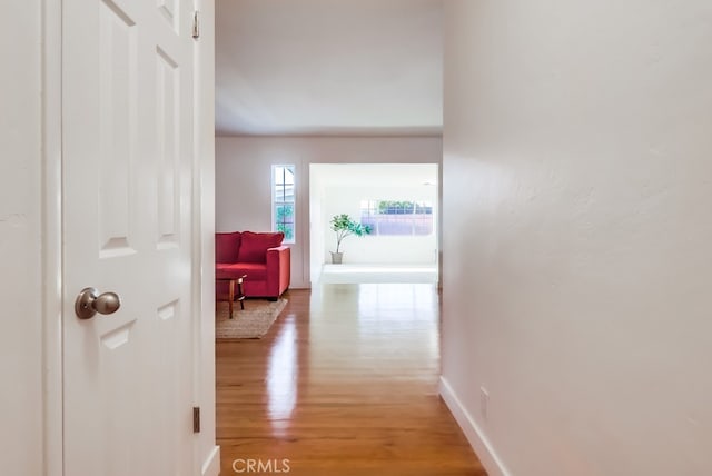 6513 Denmead St, Lakewood, CA 90713 - photo 8