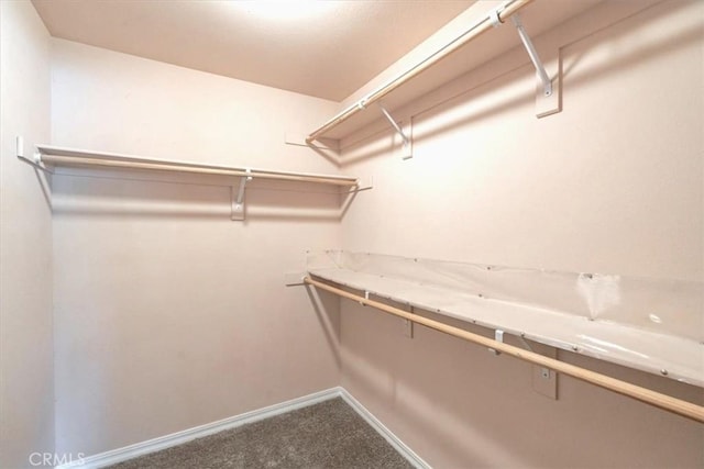 448 Grove Ln, Nipomo, CA 93444 - walk in closet featuring carpet flooring