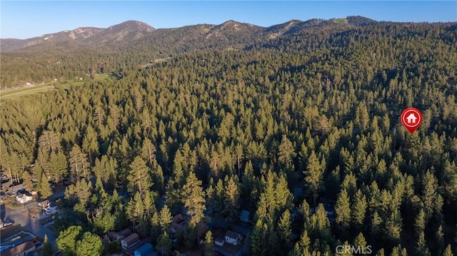 864 Elm St, Big Bear Lake, CA 92315 - photo 9