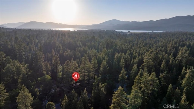864 Elm St, Big Bear Lake, CA 92315 - photo 8
