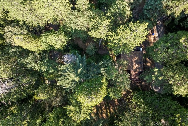 22490 Rockwell Rd, Cedarpines Park, CA 92322 - aerial view of property's location