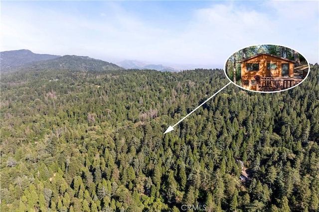 22490 Rockwell Rd, Cedarpines Park, CA 92322 - aerial view of a heavily wooded area and mountains