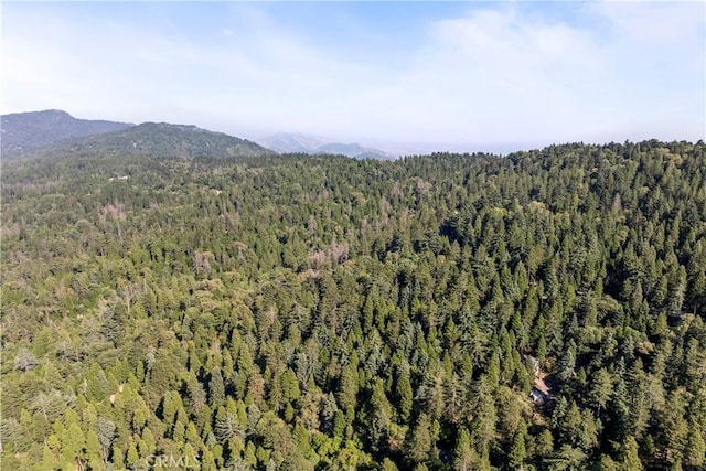 22490 Rockwell Rd, Cedarpines Park, CA 92322 - view of mountain backdrop with a heavily wooded area
