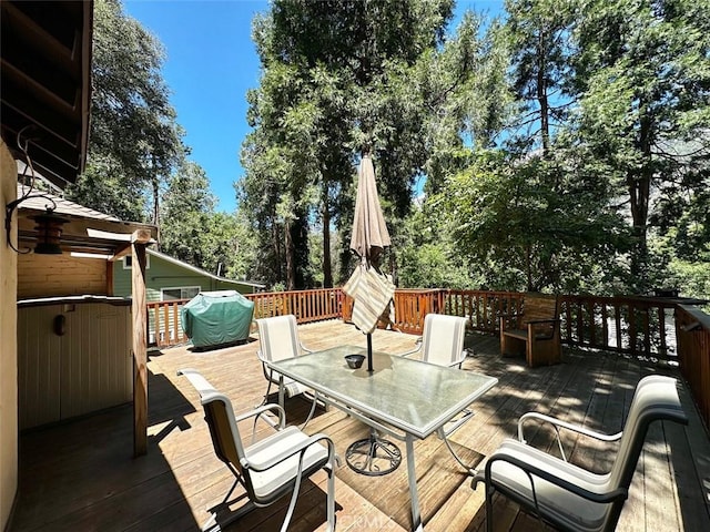 40914 Oak Dr, Forest Falls, CA 92339 - photo 12