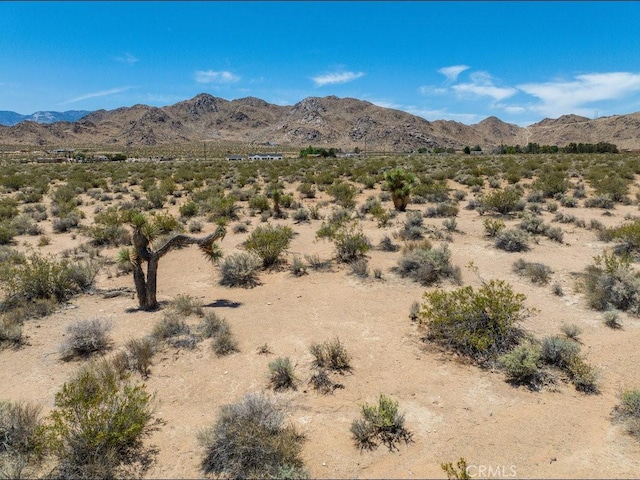 30330 Exeter St, Lucerne Valley, CA 92356 - photo 12