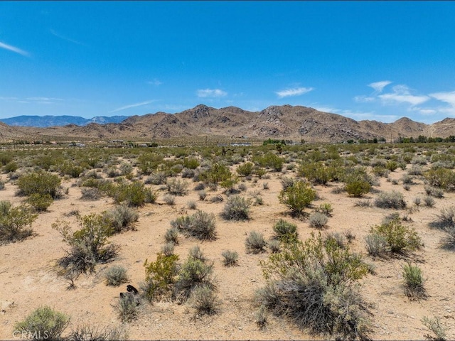 30330 Exeter St, Lucerne Valley, CA 92356 - photo 10