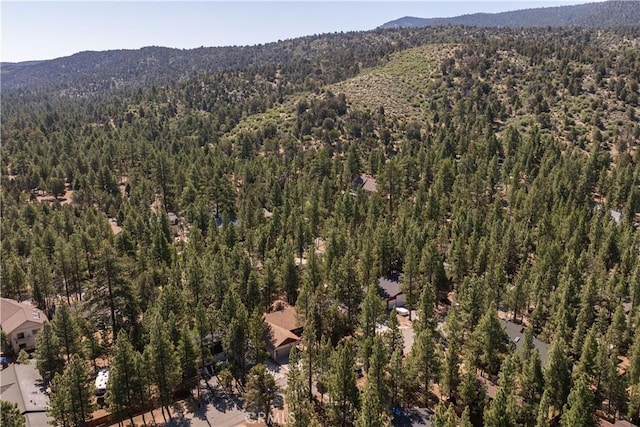 1064 Pine Ln, Big Bear City, CA 92314 - photo 10