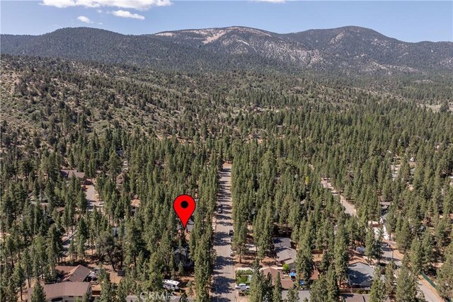 1064 Pine Ln, Big Bear City, CA 92314 - photo 11