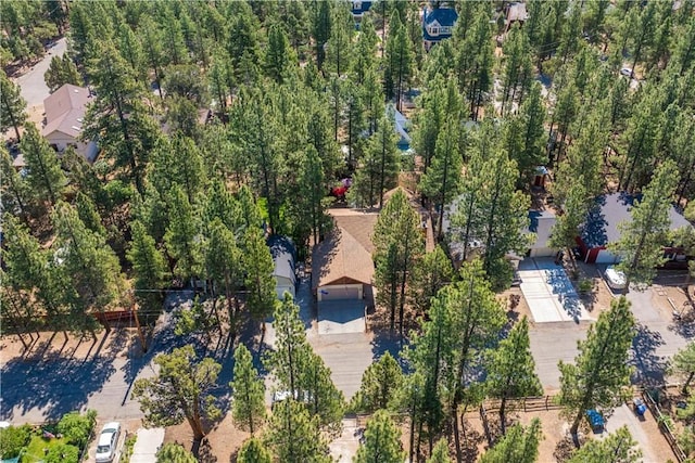 1064 Pine Ln, Big Bear City, CA 92314 - photo 9