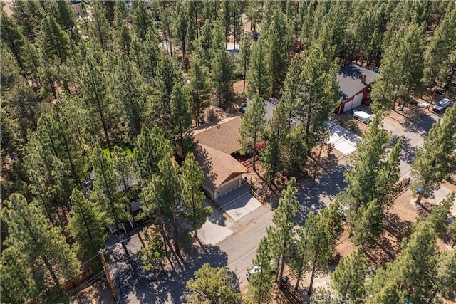 1064 Pine Ln, Big Bear City, CA 92314 - photo 8