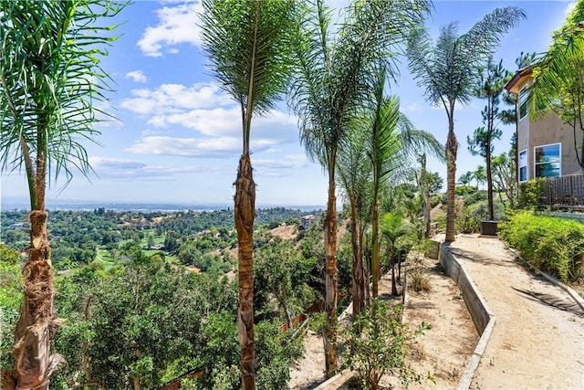 918 Reposado Dr, La Habra Heights, CA 90631 - view of yard