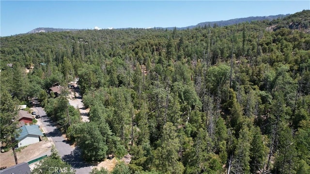 39567 E Idylwild, Bass Lake, CA 93604 - photo 55