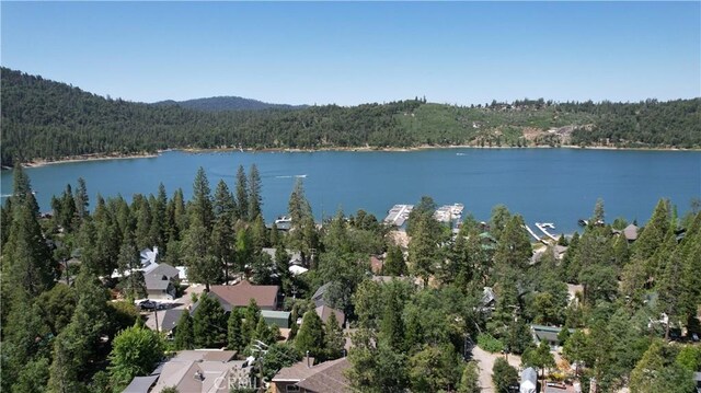 39567 E Idylwild, Bass Lake, CA 93604 - photo 52