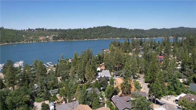 39567 E Idylwild, Bass Lake, CA 93604 - photo 53