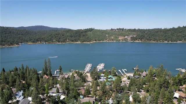39567 E Idylwild, Bass Lake, CA 93604 - photo 59