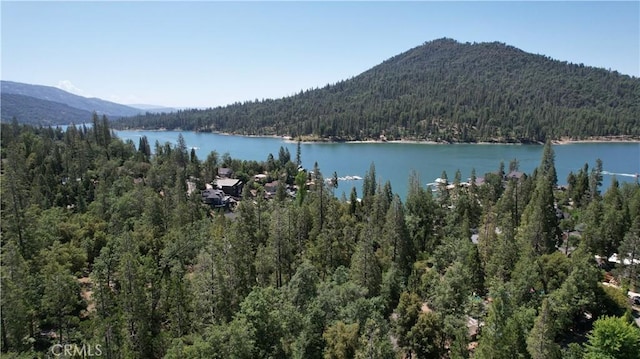 39567 E Idylwild, Bass Lake, CA 93604 - photo 58