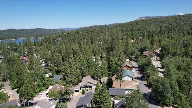 39567 E Idylwild, Bass Lake, CA 93604 - photo 54