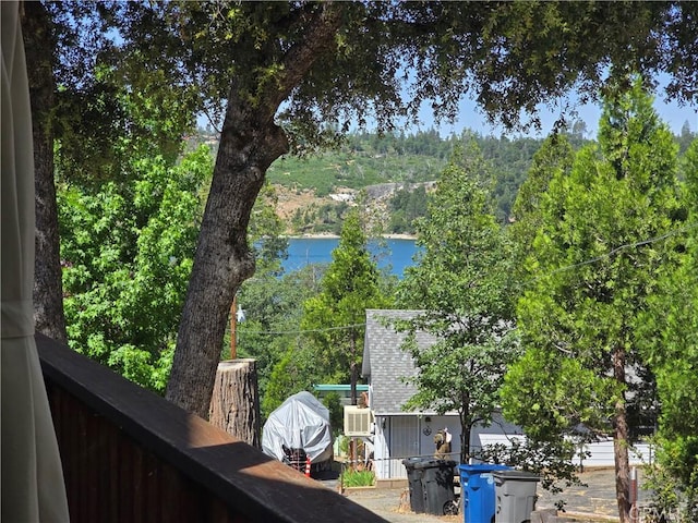 39567 E Idylwild, Bass Lake, CA 93604 - photo 11