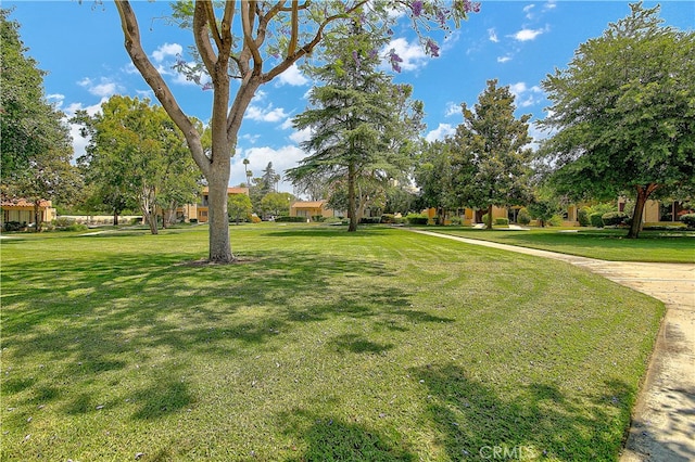 2646 Shamblin Ct, Riverside, CA 92504 - photo 21