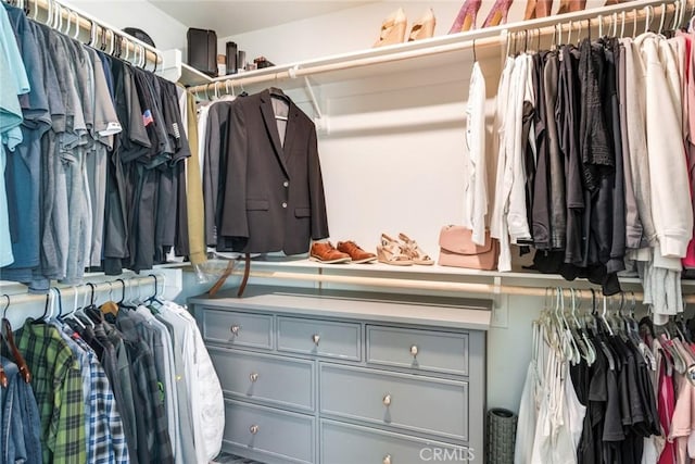 4989 River Ash Way, Fontana, CA 92336 - view of walk in closet