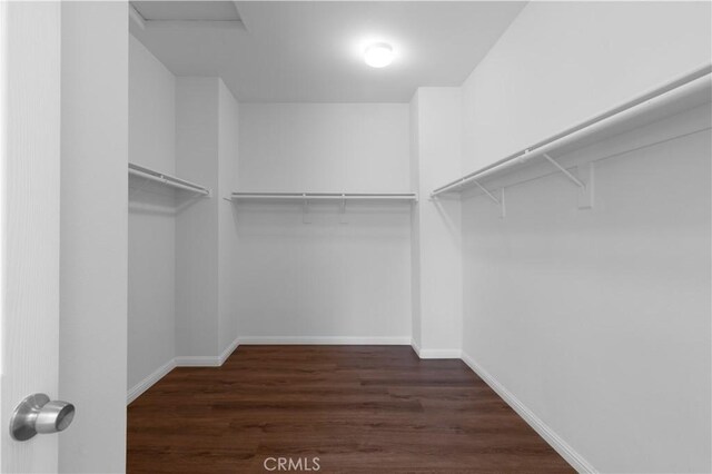 6219 S Kingsmill Ct, Fontana, CA 92336 - walk in closet featuring dark wood-style floors