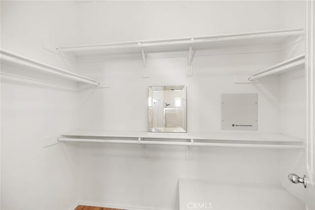 35842 Ellison Ln Unit 2, Murrieta, CA 92562 - view of spacious closet