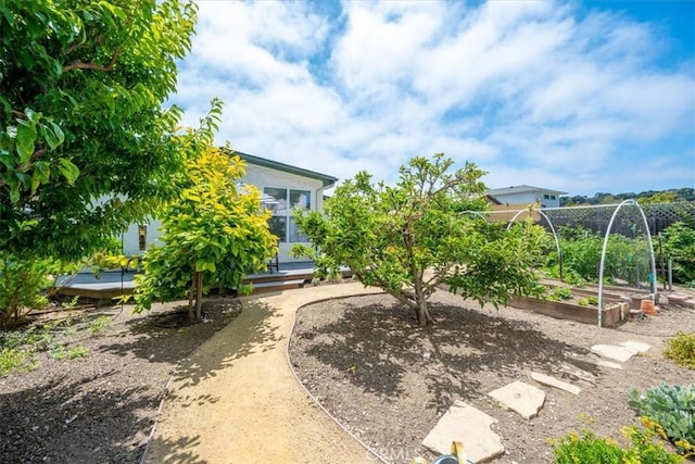 215 S Mason St, Arroyo Grande, CA 93420 - view of yard with a vegetable garden