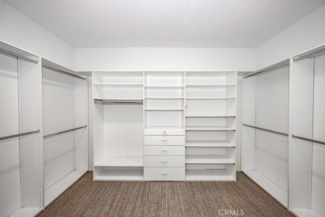 30118 Galbreth Ct, Castaic, CA 91384 - spacious closet with carpet