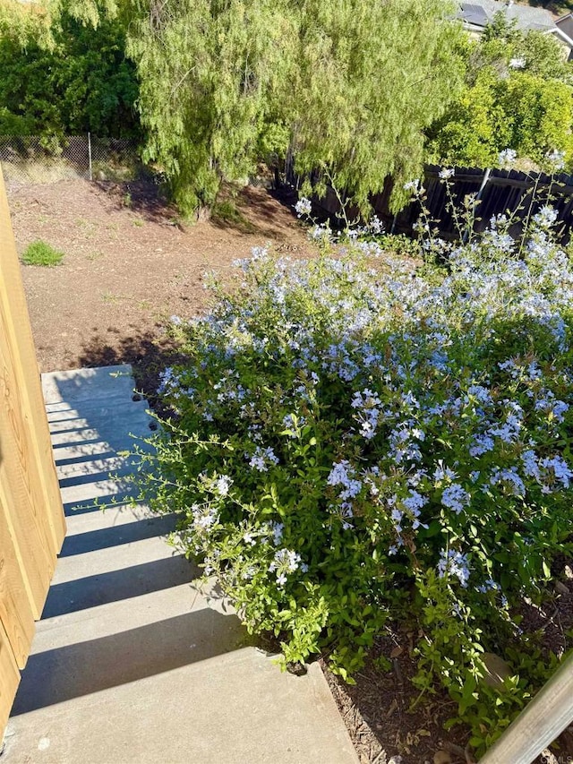 6270 Meadowcrest Dr, La Mesa, CA 91942 - view of yard