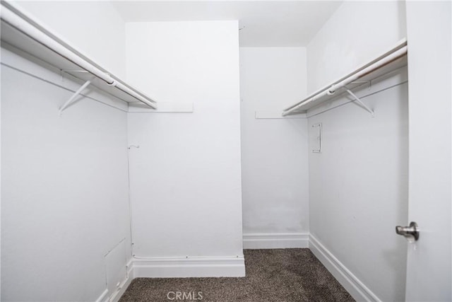 1000 Central Ave Unit 19, Riverside, CA 92507 - walk in closet with carpet flooring