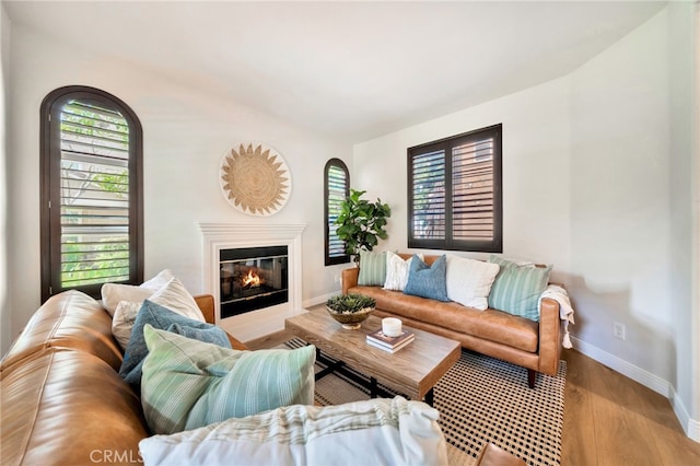 8 Caltrop Way, Ladera Ranch, CA 92694 - living room with wood finished floors and a glass covered fireplace