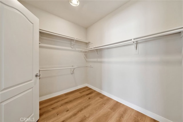 8 Caltrop Way, Ladera Ranch, CA 92694 - walk in closet with light wood-style floors