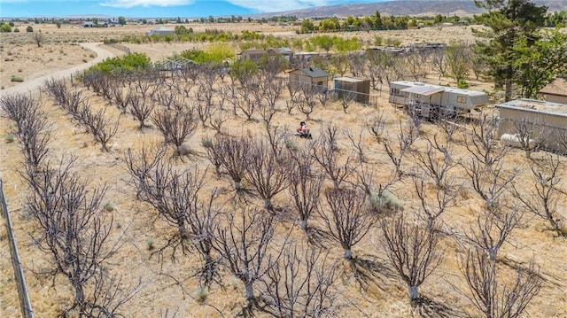 49750 Three Points Rd, Lancaster, CA 93536 - mountain view featuring a desert landscape and rural landscape