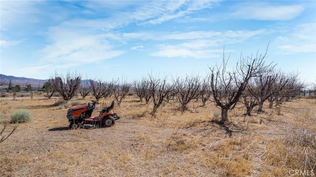49750 Three Points Rd, Lancaster, CA 93536 - view of yard with a view of rural / pastoral area and a mountain view