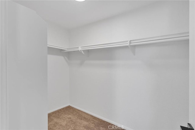 9191 White Rd, Phelan, CA 92371 - spacious closet featuring carpet flooring
