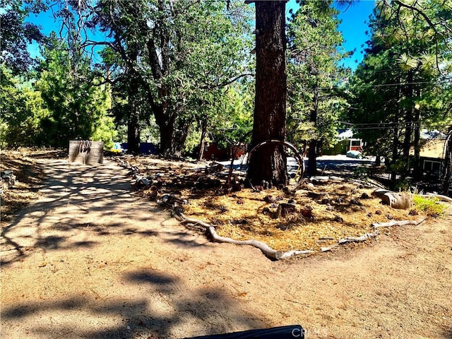33140 Juniper Ln, Green Valley Lake, CA 92341 - view of yard