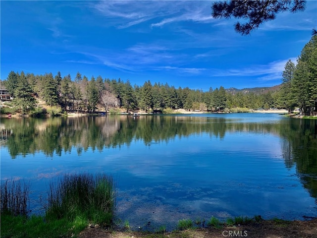33140 Juniper Ln, Green Valley Lake, CA 92341 - water view featuring a forest