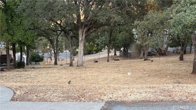 34 Coho Ct, Oroville, CA 95966 - photo 3