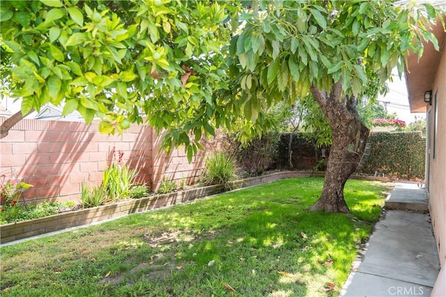 10515 Acoro St, Bellflower, CA 90706 - view of fenced backyard