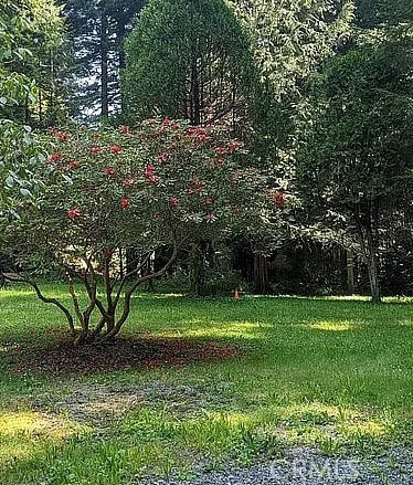 3027 Brier Ln, Eureka, CA 95503