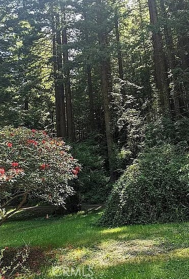 3027 Brier Ln, Eureka, CA 95503