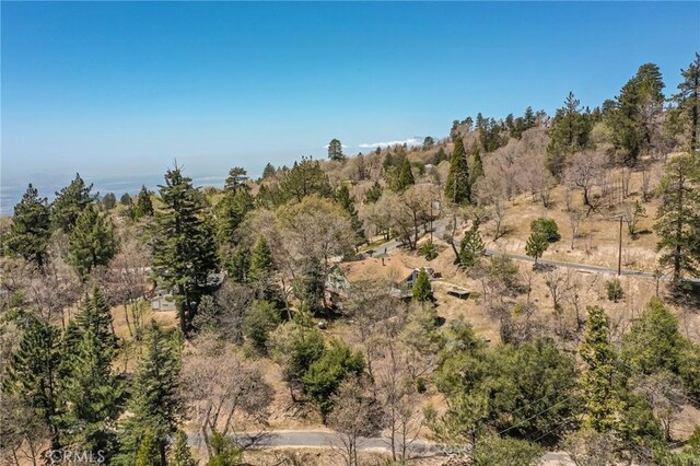 1 Sunny Slope, Running Springs, CA 92382 - view of local wilderness