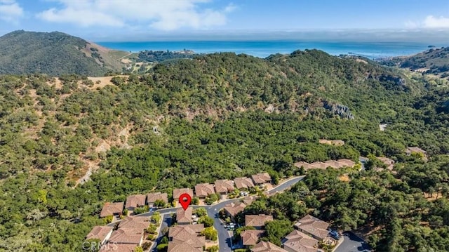 5794 Rock Rose Ln, Avila Beach, CA 93424 - photo 68