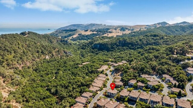 5794 Rock Rose Ln, Avila Beach, CA 93424 - photo 70